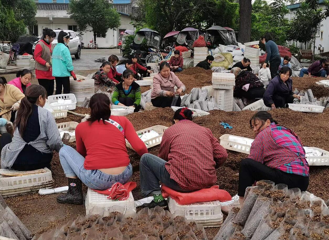 &#24320;&#20803;&#32593;&#31449;&#30331;&#24405;&#20837;&#21475;&#95;&#24320;&#20803;&#65288;&#20013;&#22269;&#65289;